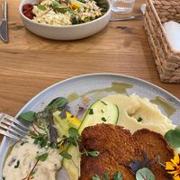 schaboszczak sos kurkowy, cukinia i puree ziemniaczane z kalafiorem, oraz poke bowl w tle at Wilk Syty in Wroclaw