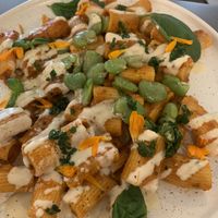   at Wilk Syty in Wroclaw