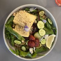   at Wilk Syty in Wroclaw