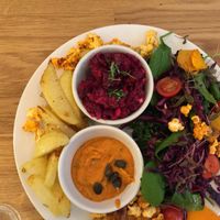 wilk dish of the day at Wilk Syty in Wroclaw