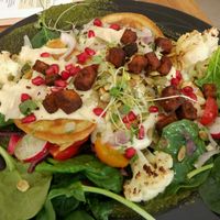 lunch at Wilk Syty in Wroclaw