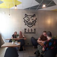 Inside at Wilk Syty in Wroclaw