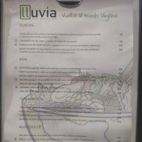 Menu at Lluvia in Alicante