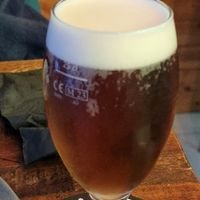  at Lluvia in Alicante