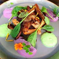 Shamburak stuffed with spinach & tomato tofu with oyster mushrooms and puple cauliflower puree at Farbenfroh in Essen