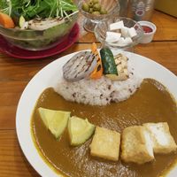 curry with avocado and fried tofu, salad, olives, soy cheese, fries at Minami Aoyama Yasai Kichi in Yokohama