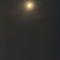   at Ju Fu Yuan Vegetarian Delight 聚福缘素食 - Blk 162 AMK Ave 4 in Northeast Singapore