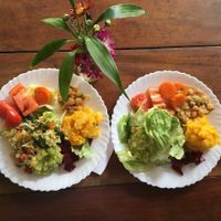 Vegan lunch buffet at Espaço Nutrir - Corpo Mente Espirito in Florianopolis