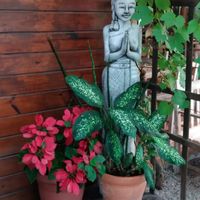 Ambiente bonito at Espaço Nutrir - Corpo Mente Espirito in Florianopolis