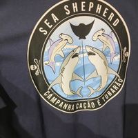 Sea save creatures at Espaço Nutrir - Corpo Mente Espirito in Florianopolis
