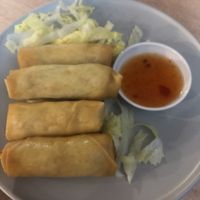 Vegetarian (and vegan) spring rolls  at Menu Thai Cuisine in Port Douglas
