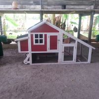 A moveable chicken coop is just the thing to organically fertilize your entire yard and garden.  They sell them and chickens or ducks for pets to inhabit the new coop!. at Lake Worth Green Market in Lake Worth
