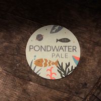 Great variety of drinks! at The Pond in Brighton