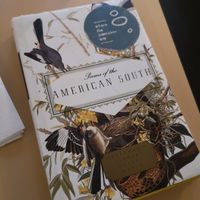 Nice way of giving the bill at Where The Pancakes Are in South East London