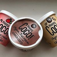 Vegan coconut ice cream. at Kalcek - Smartinska in Ljubljana