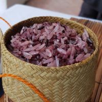 Rice  at Bamboo Tree Lao Cooking School and Restaurant in Luang Prabang