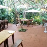  at Big Tree Cafe in Luang Prabang