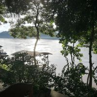  at Big Tree Cafe in Luang Prabang