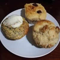 Muffins! at NY Muffin in Tokyo