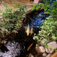  at Blue Diamond in Chiang Mai