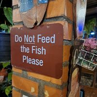  at Blue Diamond in Chiang Mai