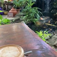   at Blue Diamond in Chiang Mai