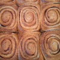 vegan cinnna buns   at Capricho Sin Culpa in Queretaro