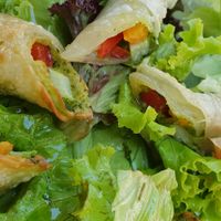 Mandala roll at Mandala in Belgrade