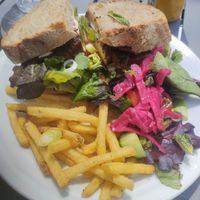 Tofu bbq burger/ steak  thing with fris and salad at Bailgate Deli in Lincoln