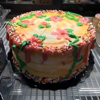 Cake at Morels Cafe in Louisville