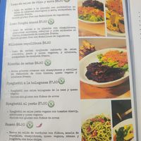  at Fratello Vegan in Cuenca