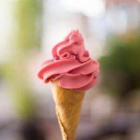 Ice cream! Minus the cream, of course :) at Fratello Vegan in Cuenca