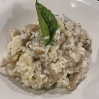   at Fratello Vegan in Cuenca