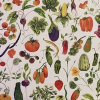 Veggie Love!  at Nourish Cafe in San Francisco