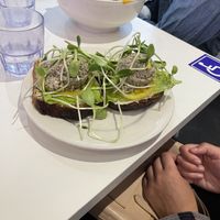 “Tuna” Sandwich  at Nourish Cafe in San Francisco