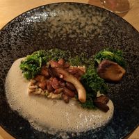  at Morris and Bella in Amsterdam