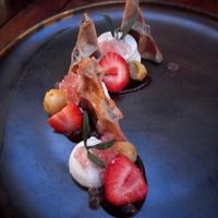  at Morris and Bella in Amsterdam