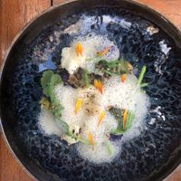   at Morris and Bella in Amsterdam