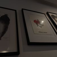   at Morris and Bella in Amsterdam