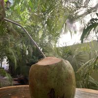 Coco  at Raw Love - Downtown Tulum in Tulum