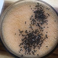 Tummy at Raw Love - Downtown Tulum in Tulum