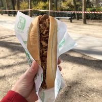 Tourist dog  at Hot Vog in Paris
