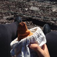 Vegan croissant on the go at Les Gourmandises Louca  in Quebec