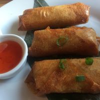 Spring rolls at Warung Jakarta in Warsaw