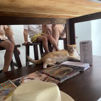 El jefe!   at El Cafe in Havana