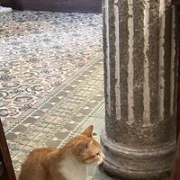 Interior  at El Cafe in Havana