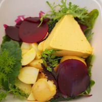 Roasted Carrot and Orange Terrine Salad at Cradle in Sudbury