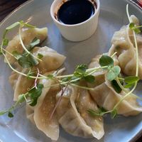 Veg and Tofu Dumplngs  at Springhouse in Halifax