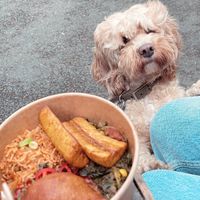   at GRUB in Manchester