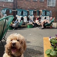   at GRUB in Manchester